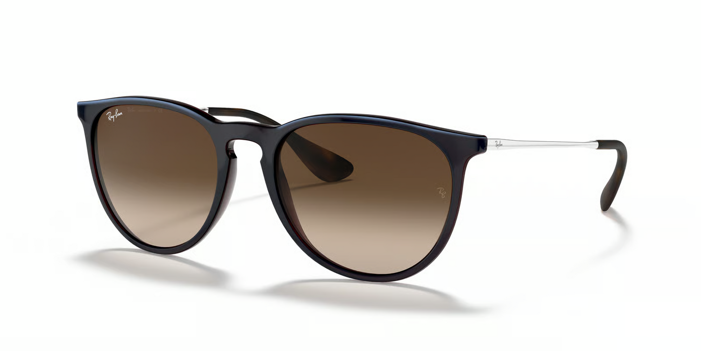 Ray-Ban RB4171 Erika Sunglasses
