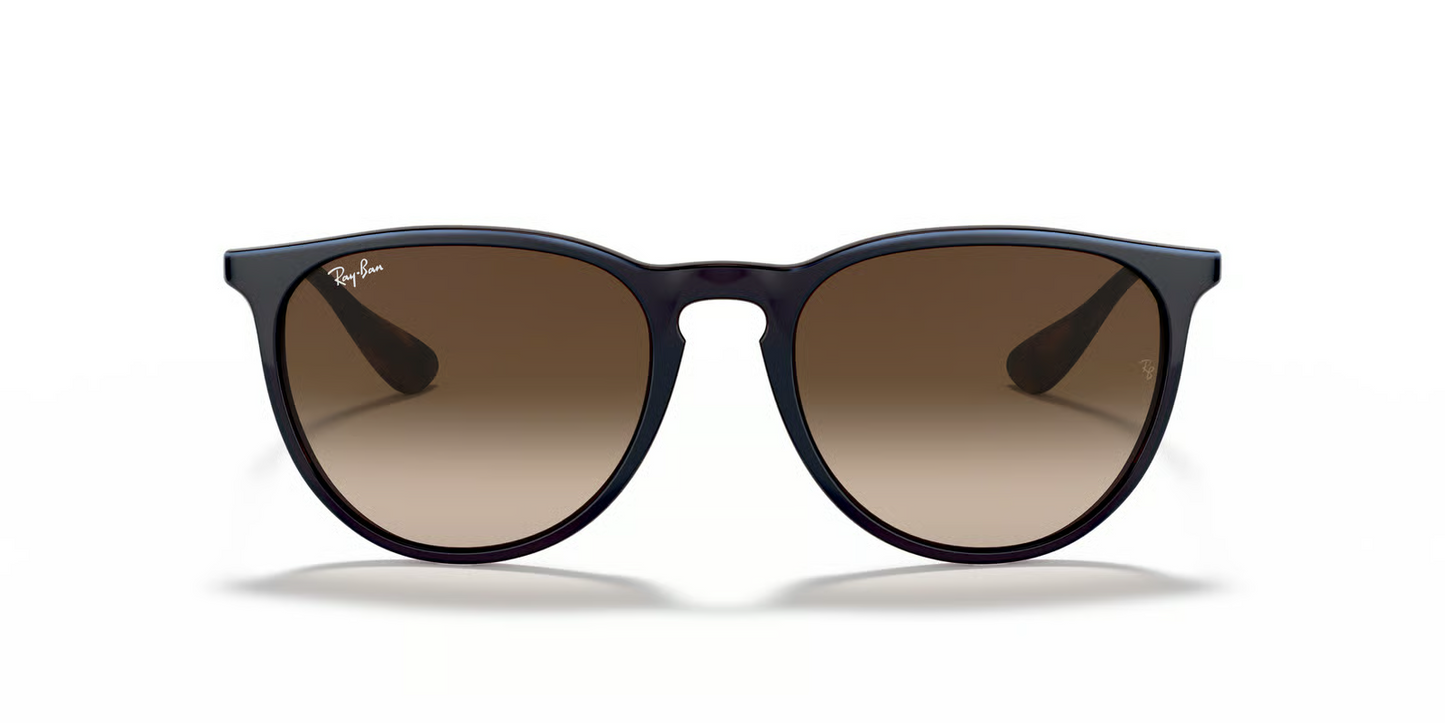 Ray-Ban RB4171 Erika Sunglasses