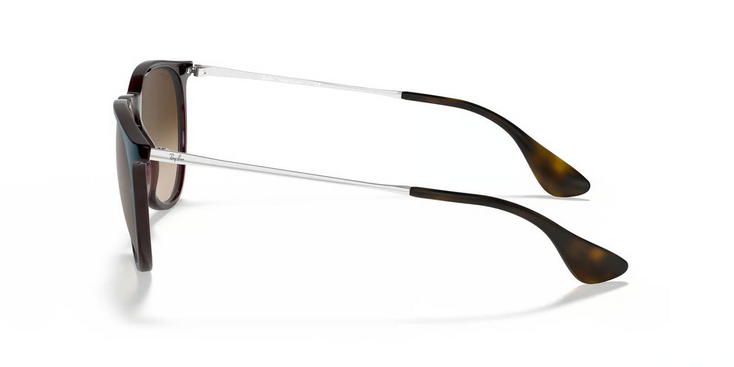 Ray-Ban RB4171 Erika Sunglasses