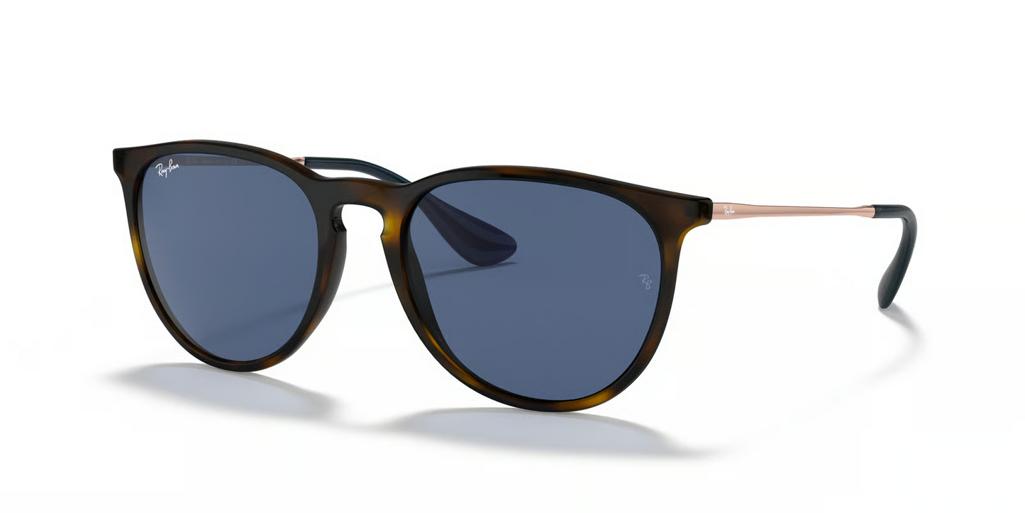 Ray-Ban RB4171 Erika Sunglasses