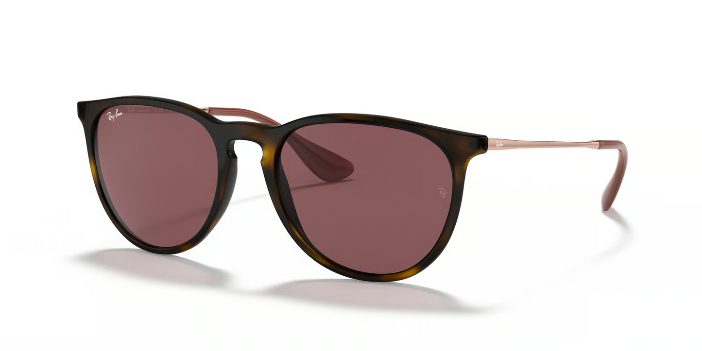 Ray-Ban RB4171 Erika Sunglasses