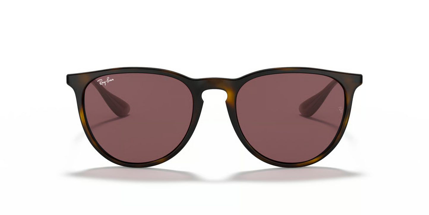 Ray-Ban RB4171 Erika Sunglasses