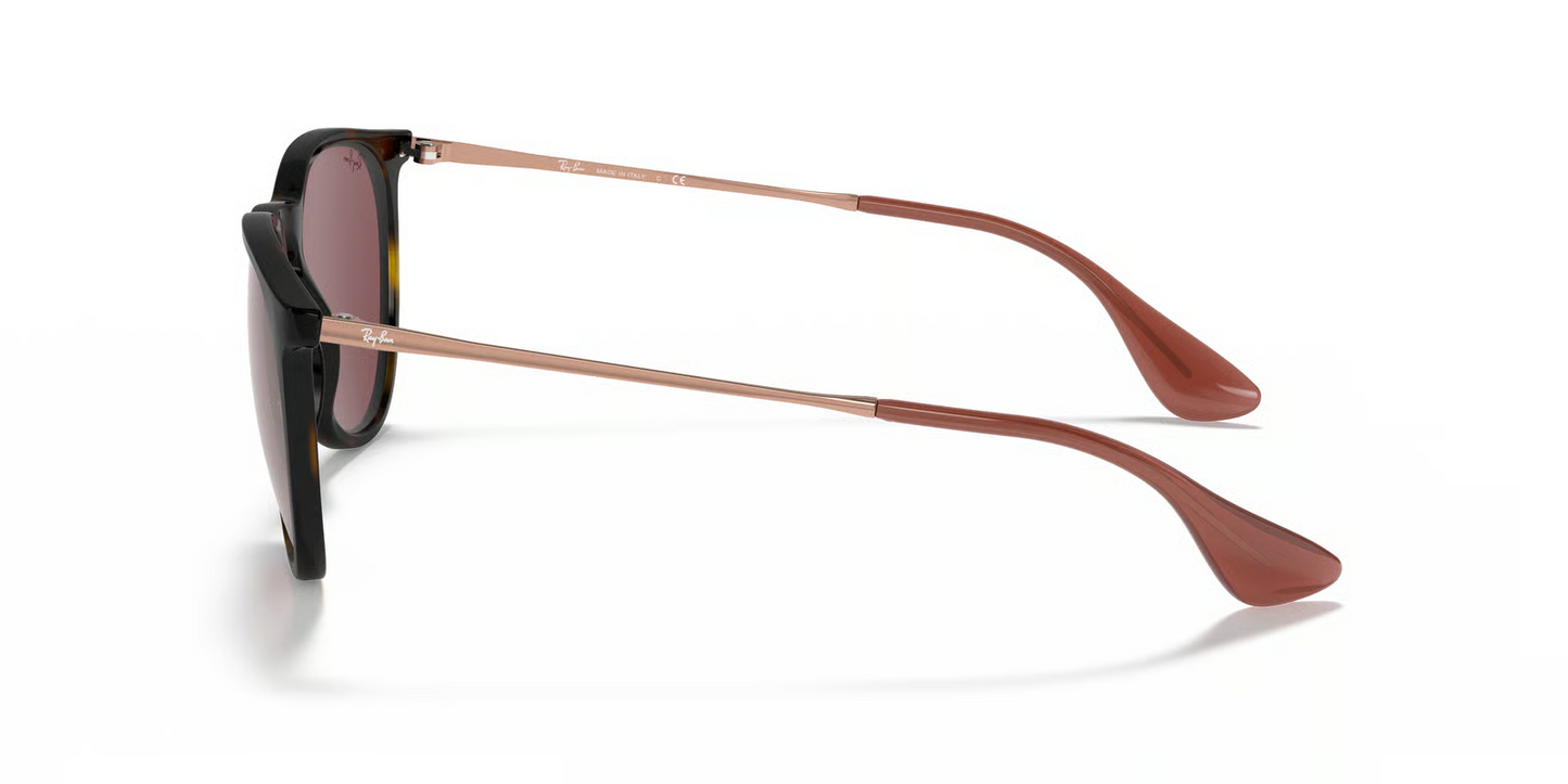 Ray-Ban RB4171 Erika Sunglasses