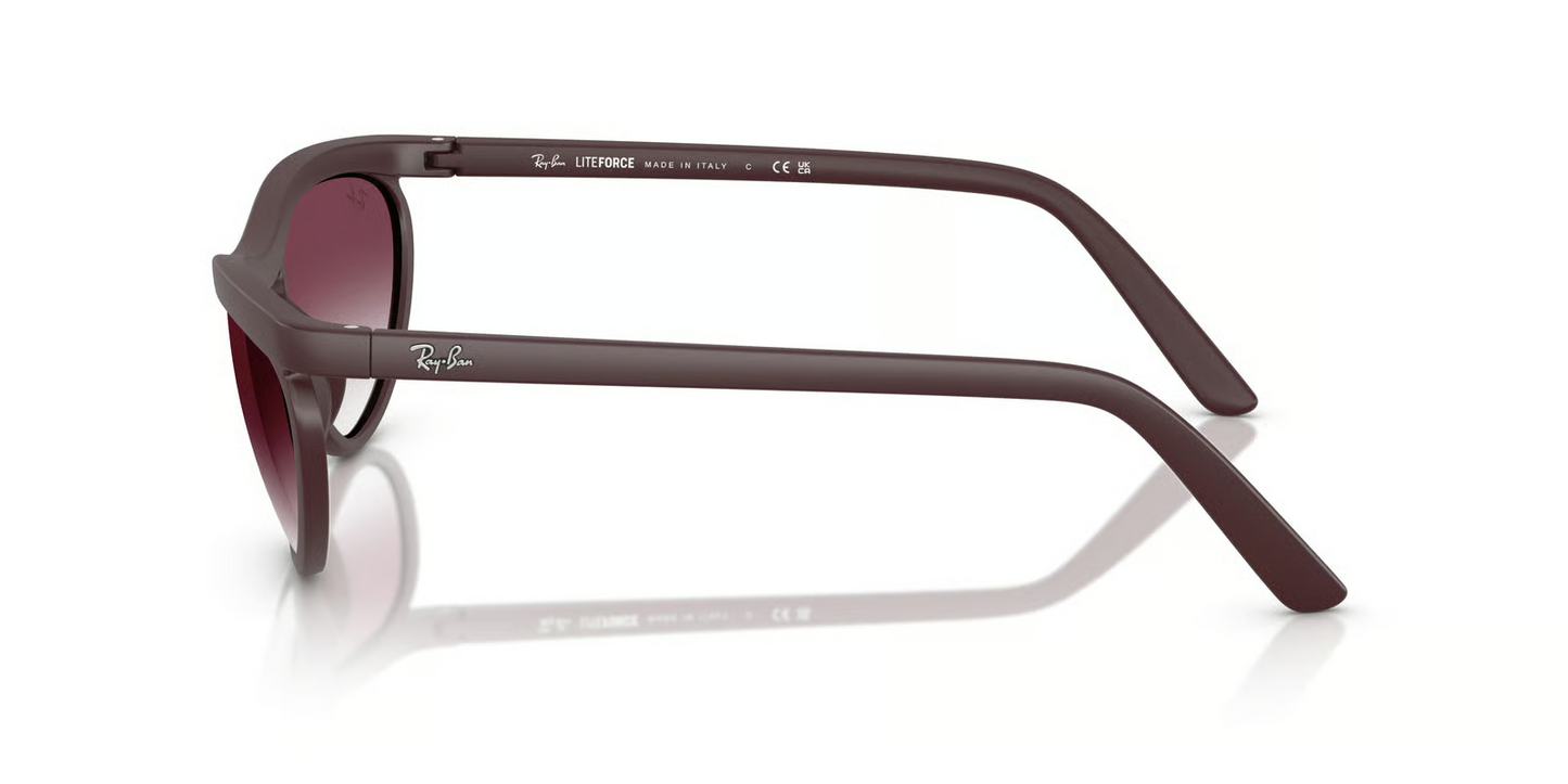 Ray-Ban RB4453 Sunglasses