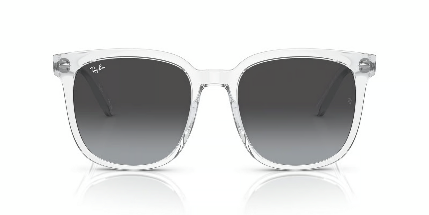 Ray-Ban RB4401D Sunglasses