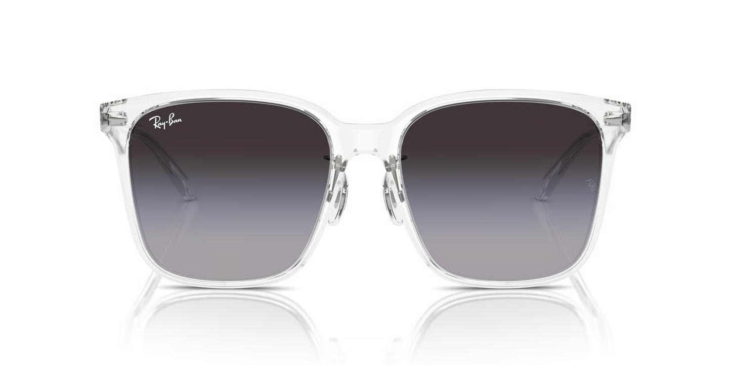 Ray-Ban RB2206D Sunglasses