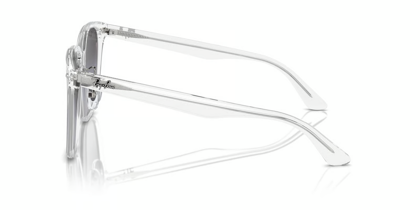 Ray-Ban RB2206D Sunglasses