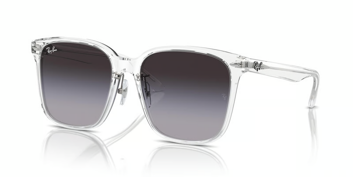 Ray-Ban RB2206D Sunglasses