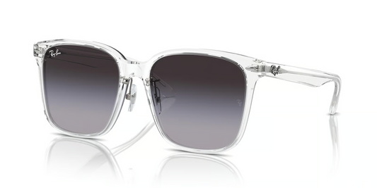 Ray-Ban RB2206D Sunglasses