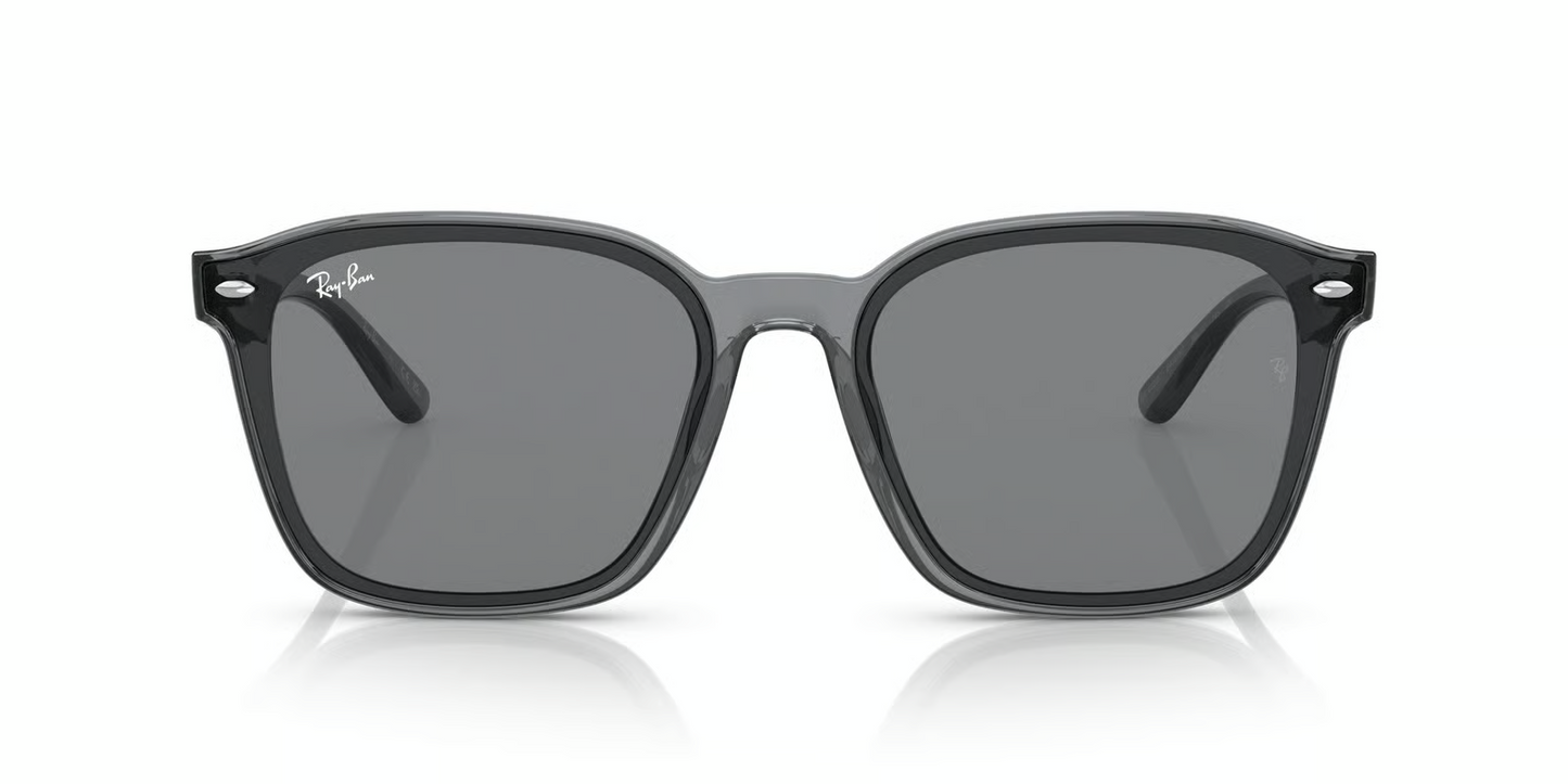 Ray-Ban RB4392D Sunglasses