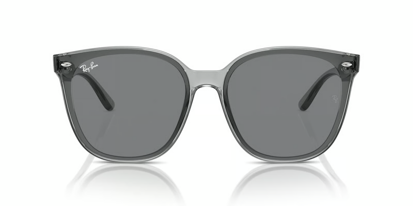 Ray-Ban RB4423D Sunglasses