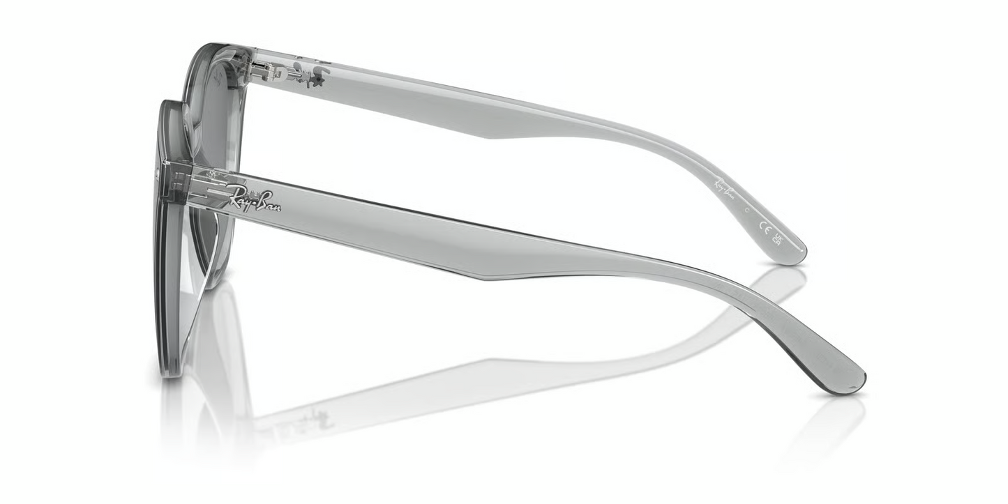 Ray-Ban RB4423D Sunglasses