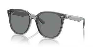 645087 - Transparent Grey with Dark Brown Lenses