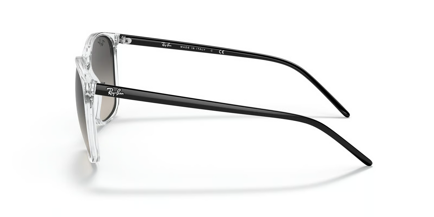 Ray-Ban RB4387 Sunglasses