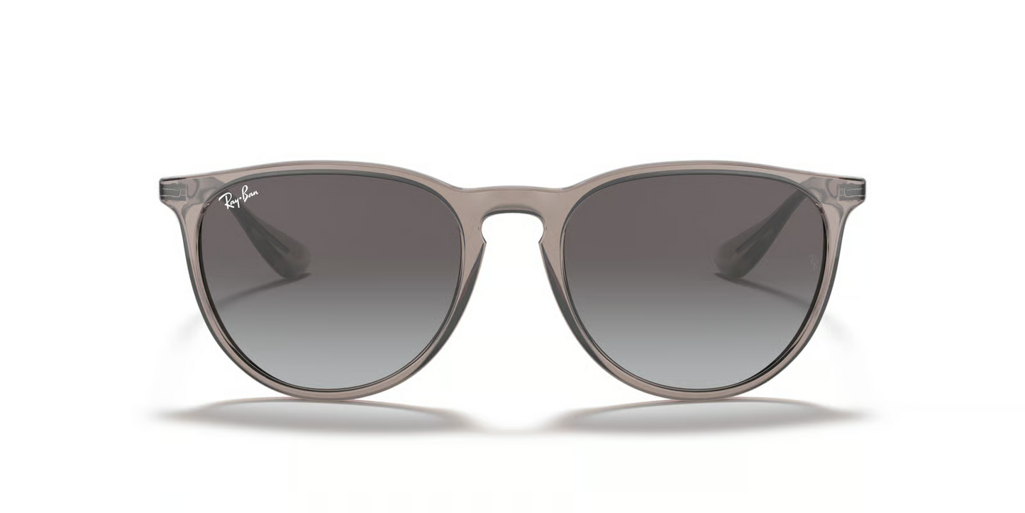 Ray-Ban RB4171 Erika Sunglasses