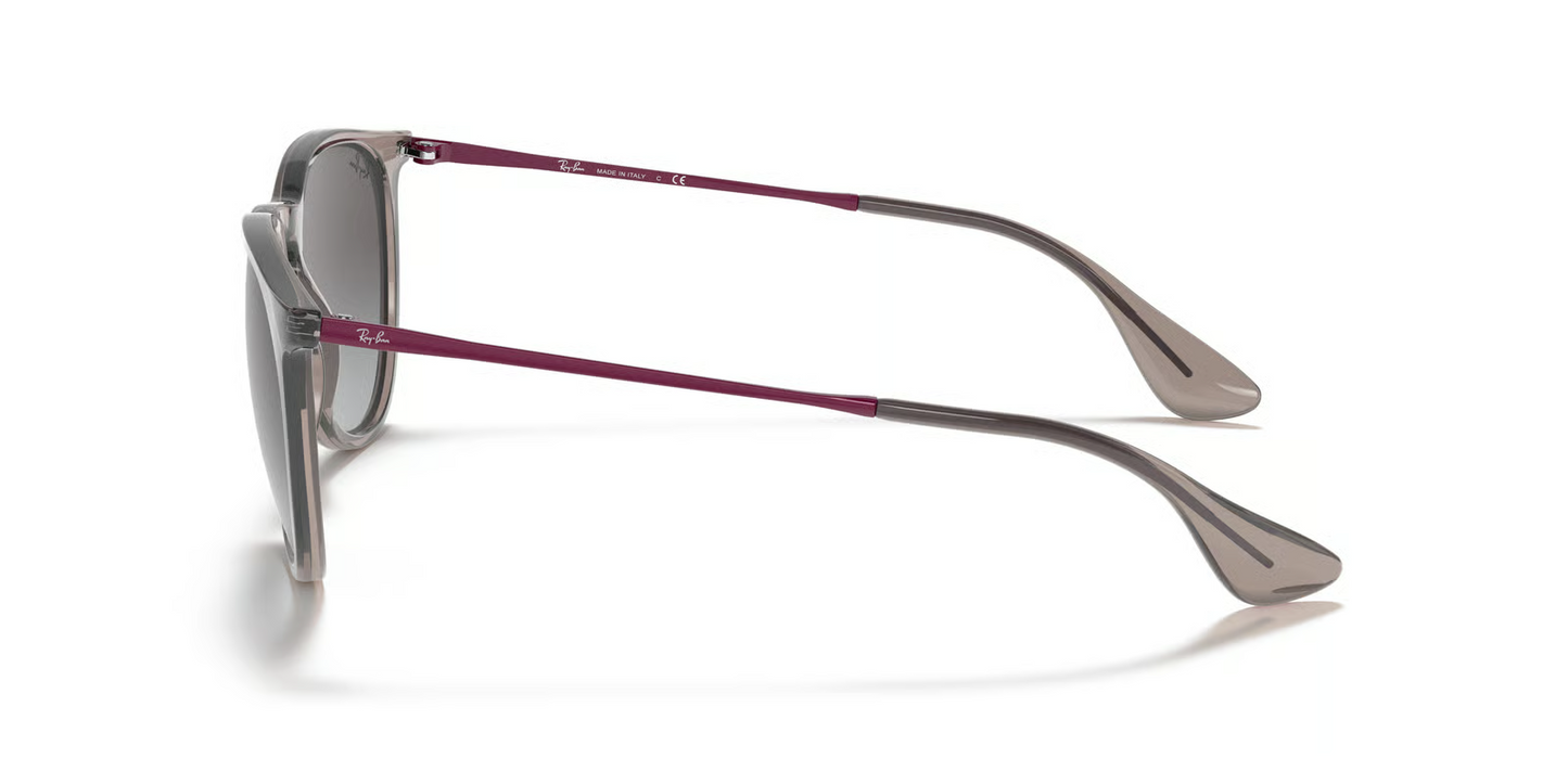 Ray-Ban RB4171 Erika Sunglasses