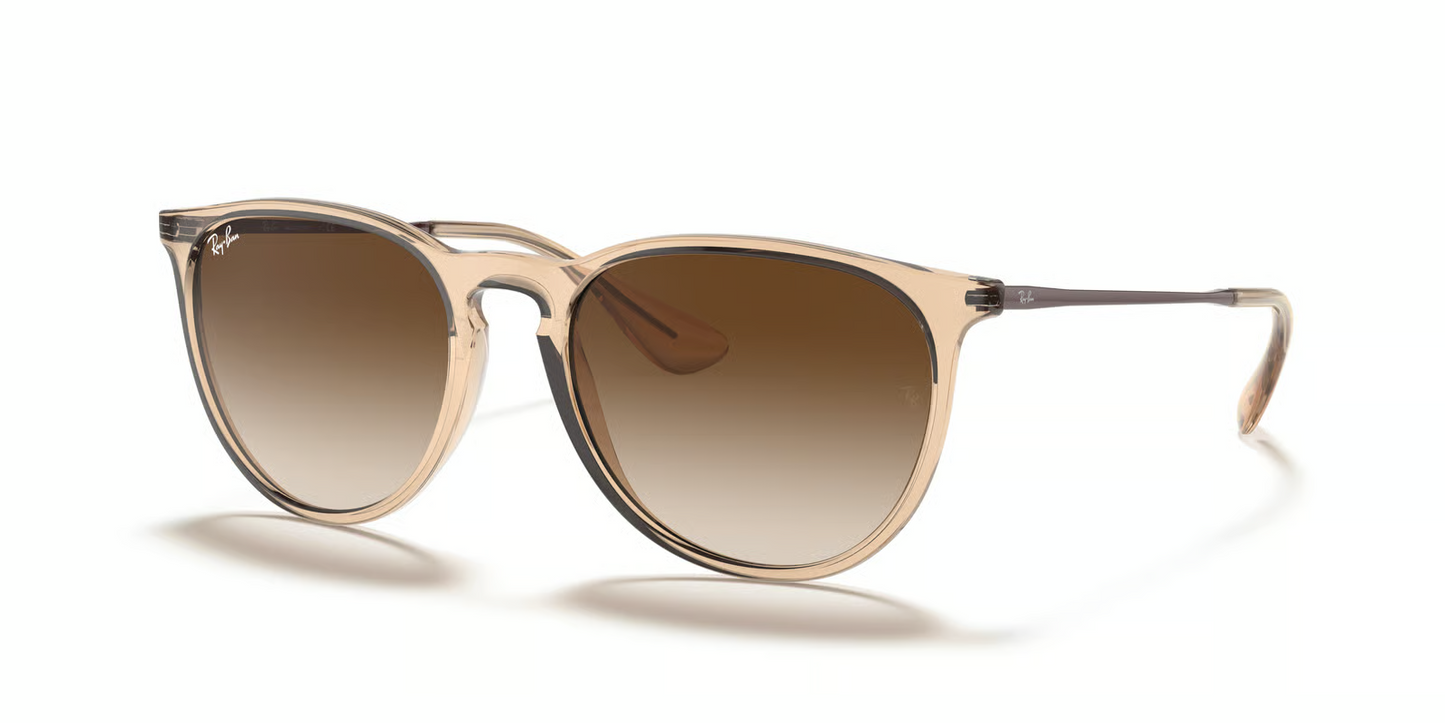 Ray-Ban RB4171 Erika Sunglasses