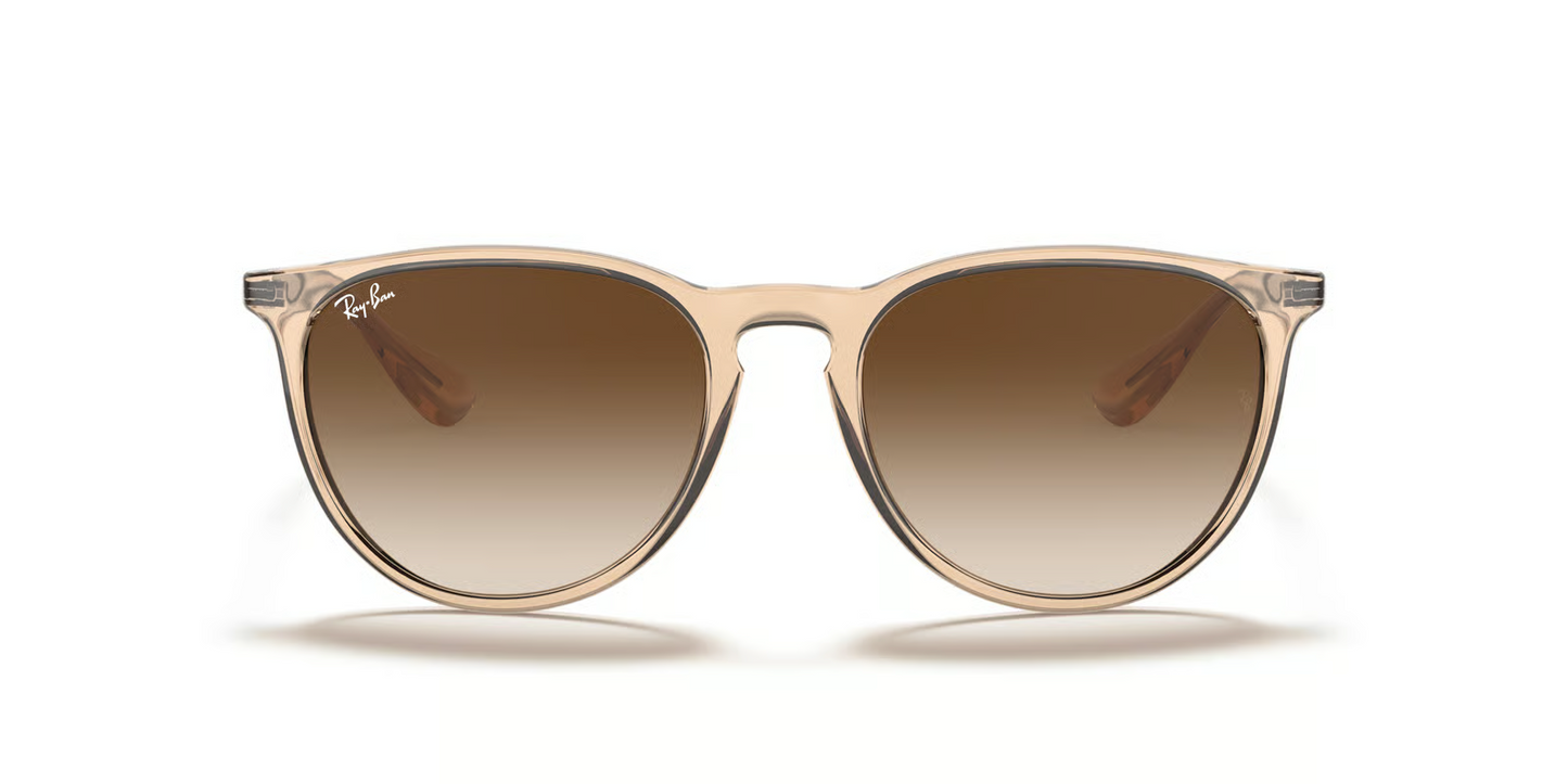 Ray-Ban RB4171 Erika Sunglasses