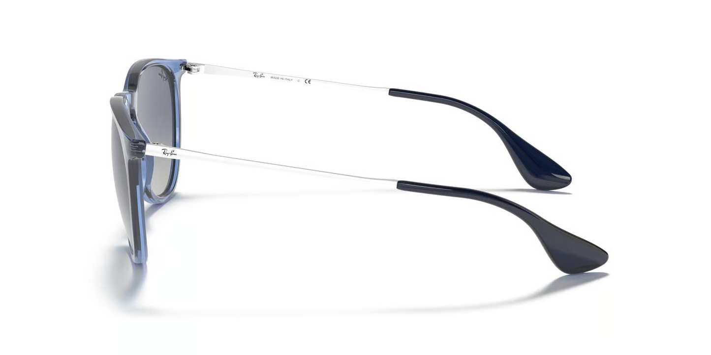 Ray-Ban RB4171 Erika Sunglasses