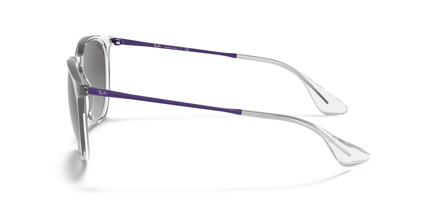 Ray-Ban RB4171 Erika Sunglasses