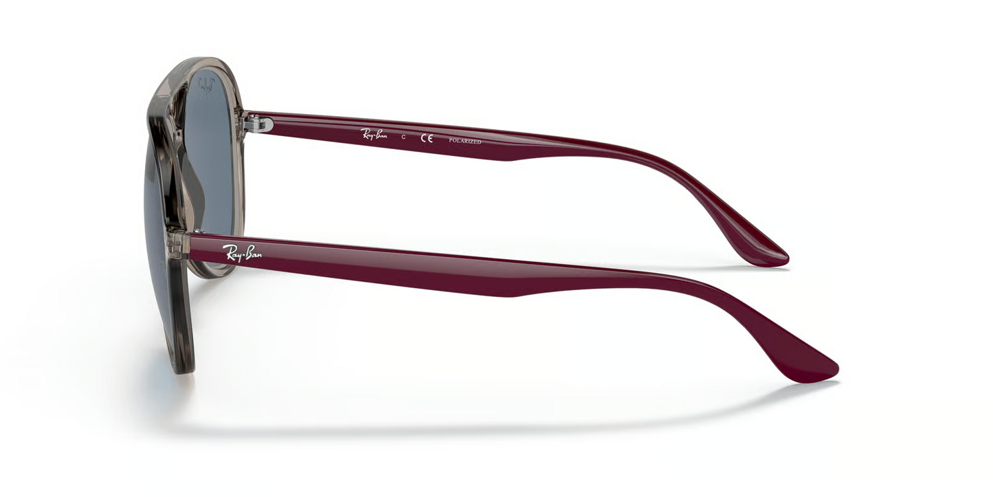 Ray-Ban RB4376 Sunglasses