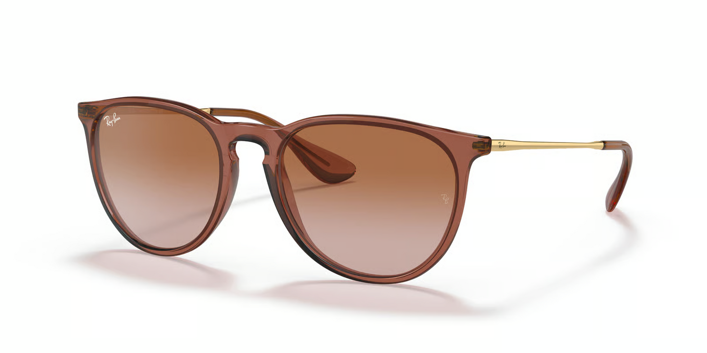 Ray-Ban RB4171 Erika Sunglasses