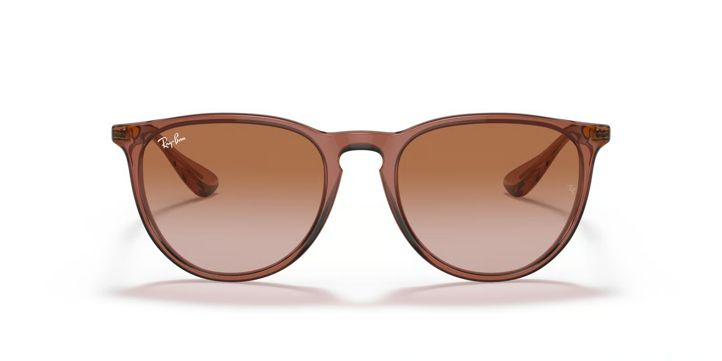Ray-Ban RB4171 Erika Sunglasses