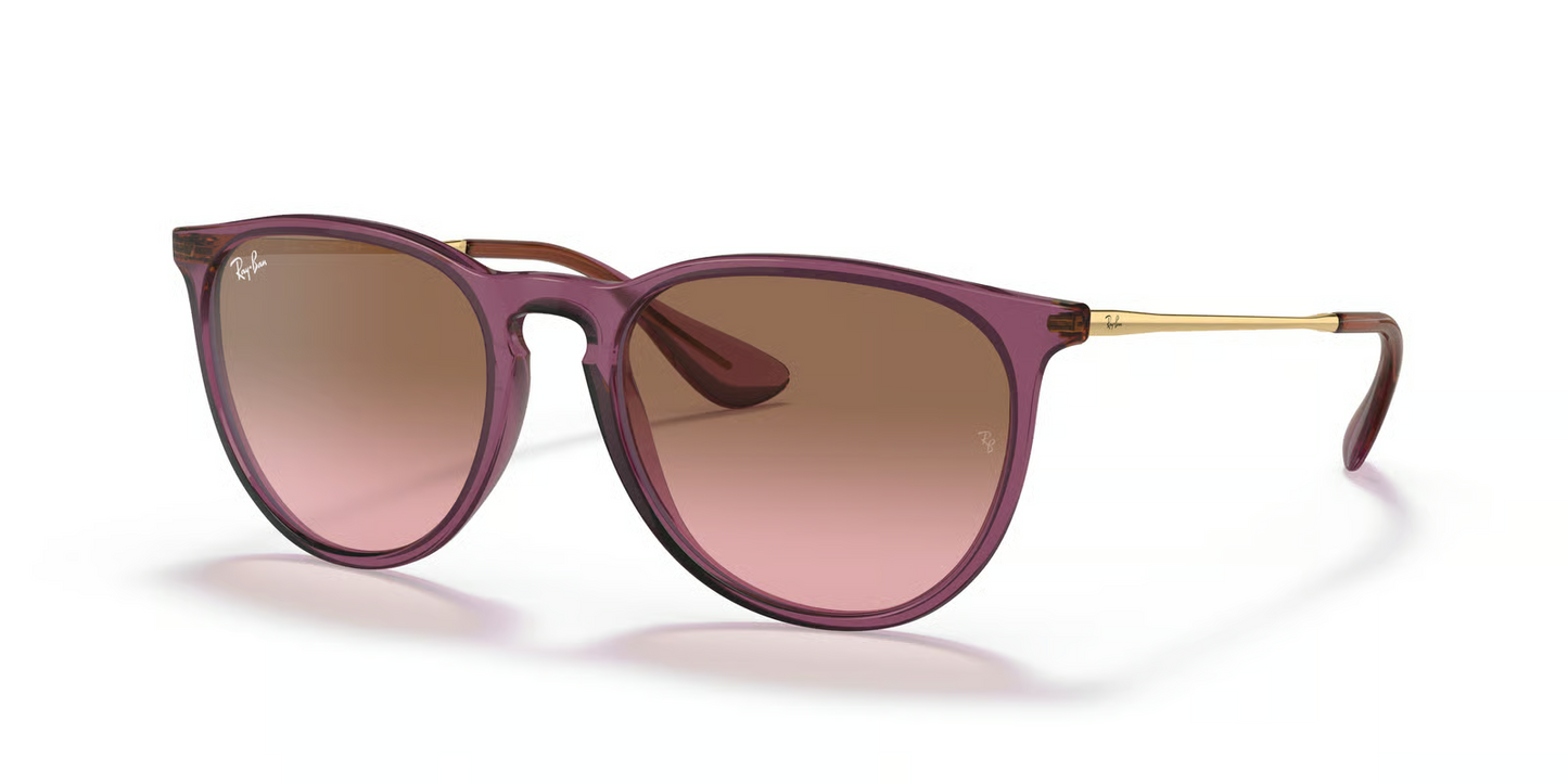 Ray-Ban RB4171 Erika Sunglasses