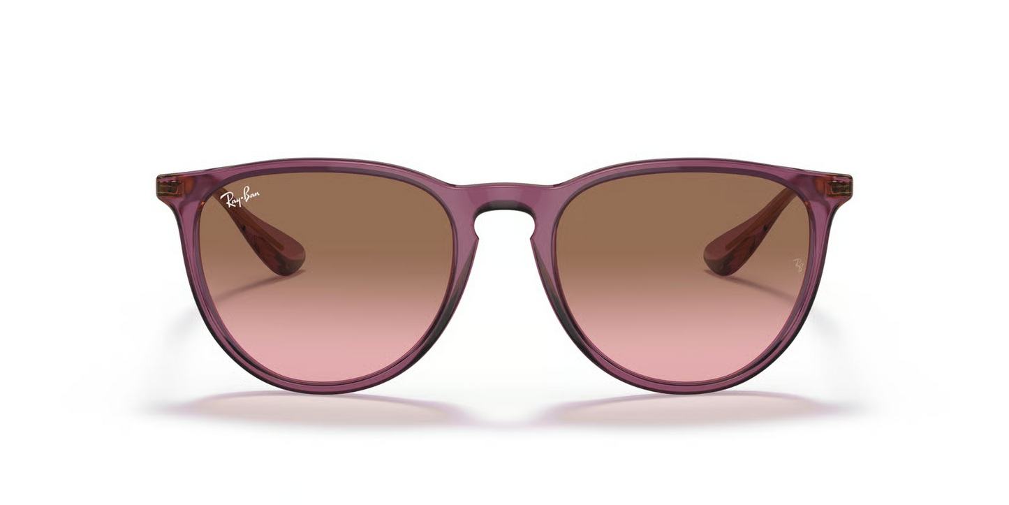 Ray-Ban RB4171 Erika Sunglasses