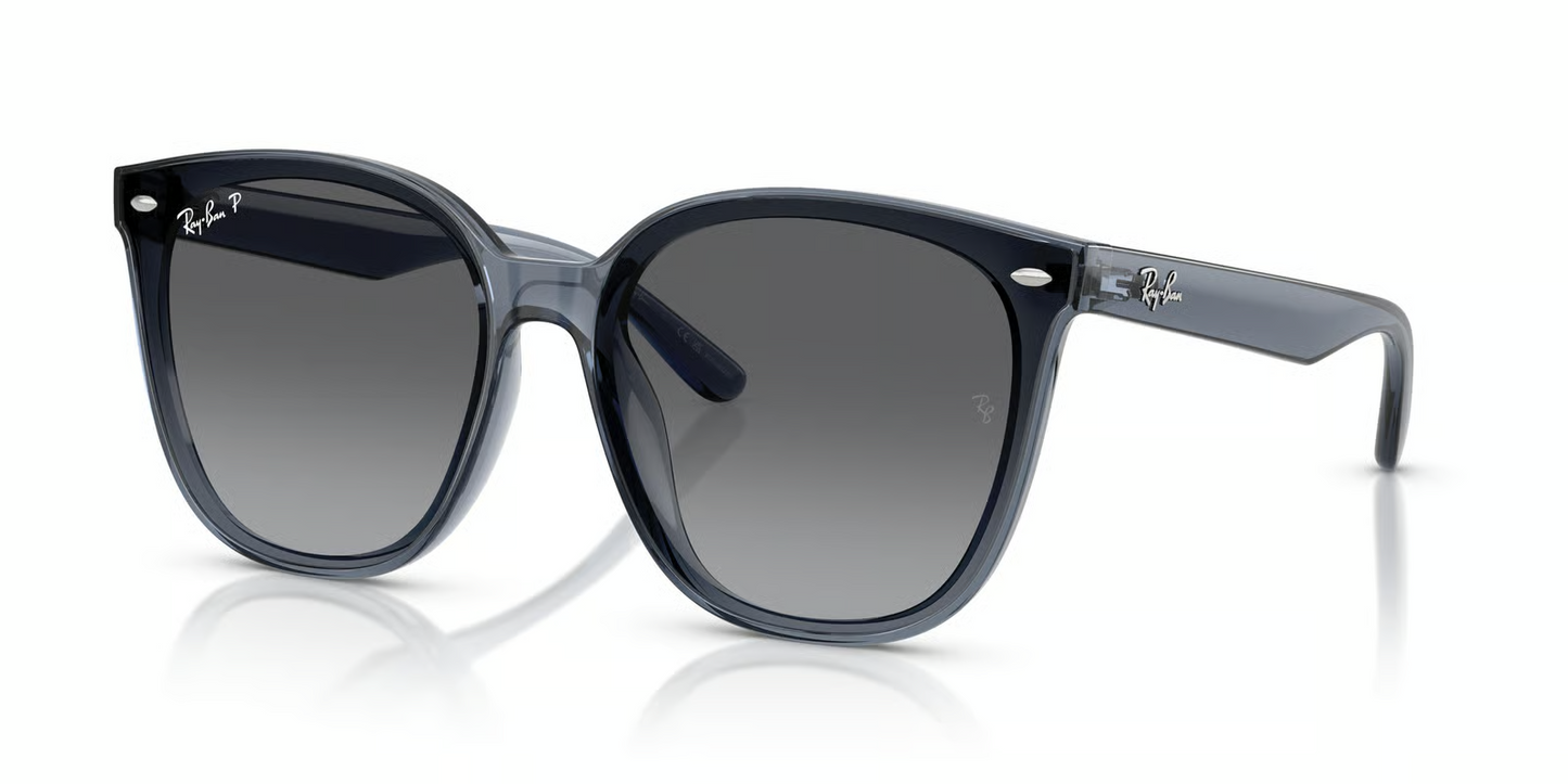Ray-Ban RB4423D Sunglasses