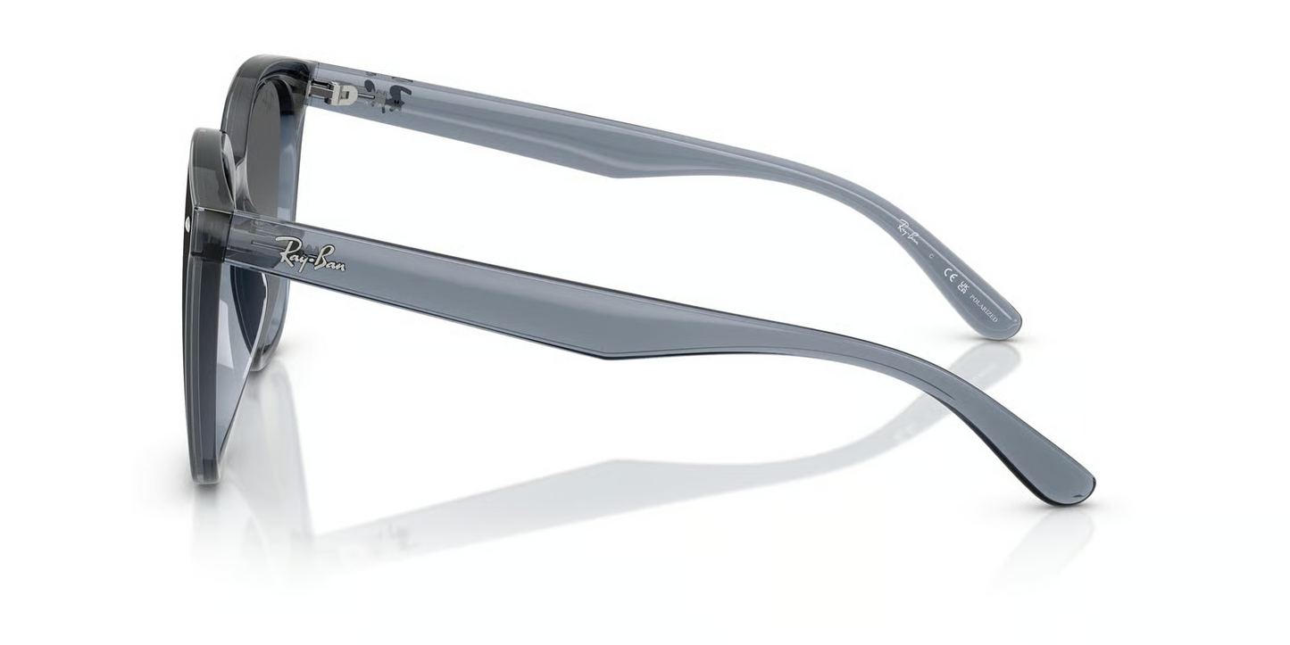 Ray-Ban RB4423D Sunglasses