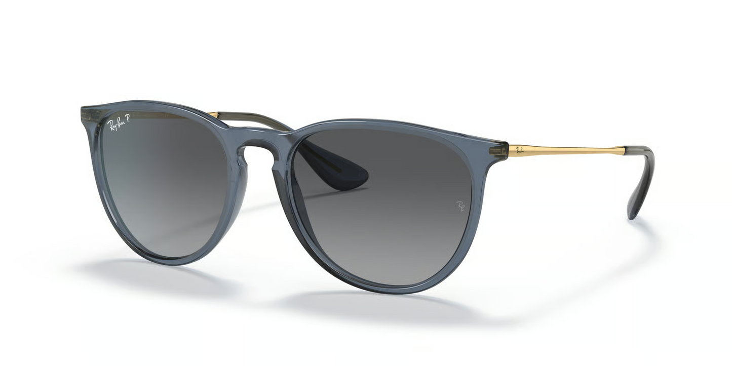 Ray-Ban RB4171 Erika Sunglasses