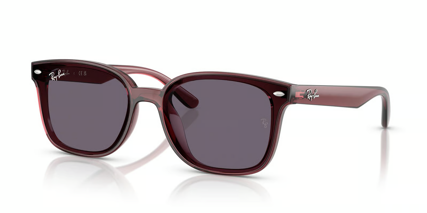 Ray-Ban RB4461D Sunglasses