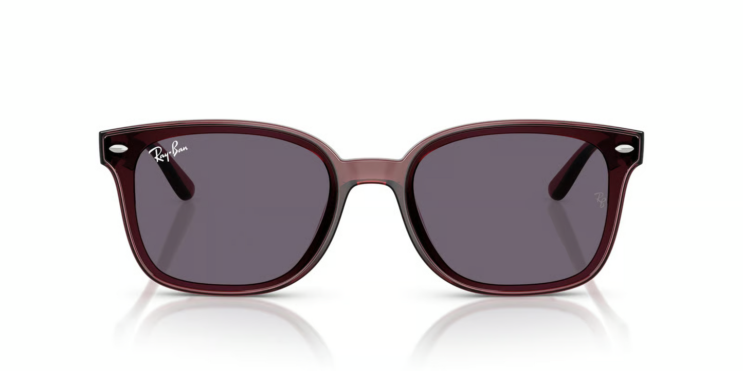Ray-Ban RB4461D Sunglasses