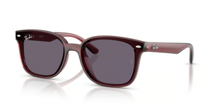 659373 - Transparent Dark Brown with Violet Lenses