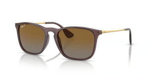 6593T5 - Transparent Brown with Polarized Brown Lenses