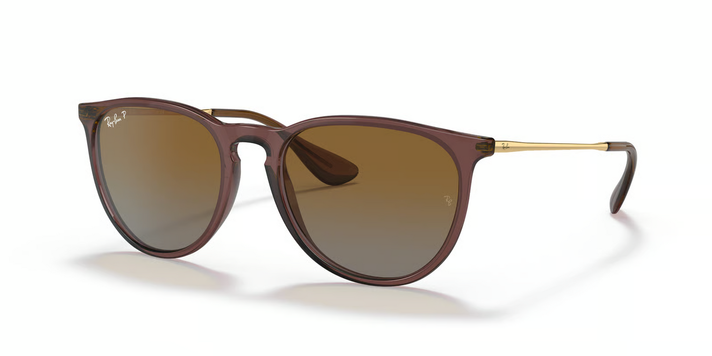 Ray-Ban RB4171 Erika Sunglasses