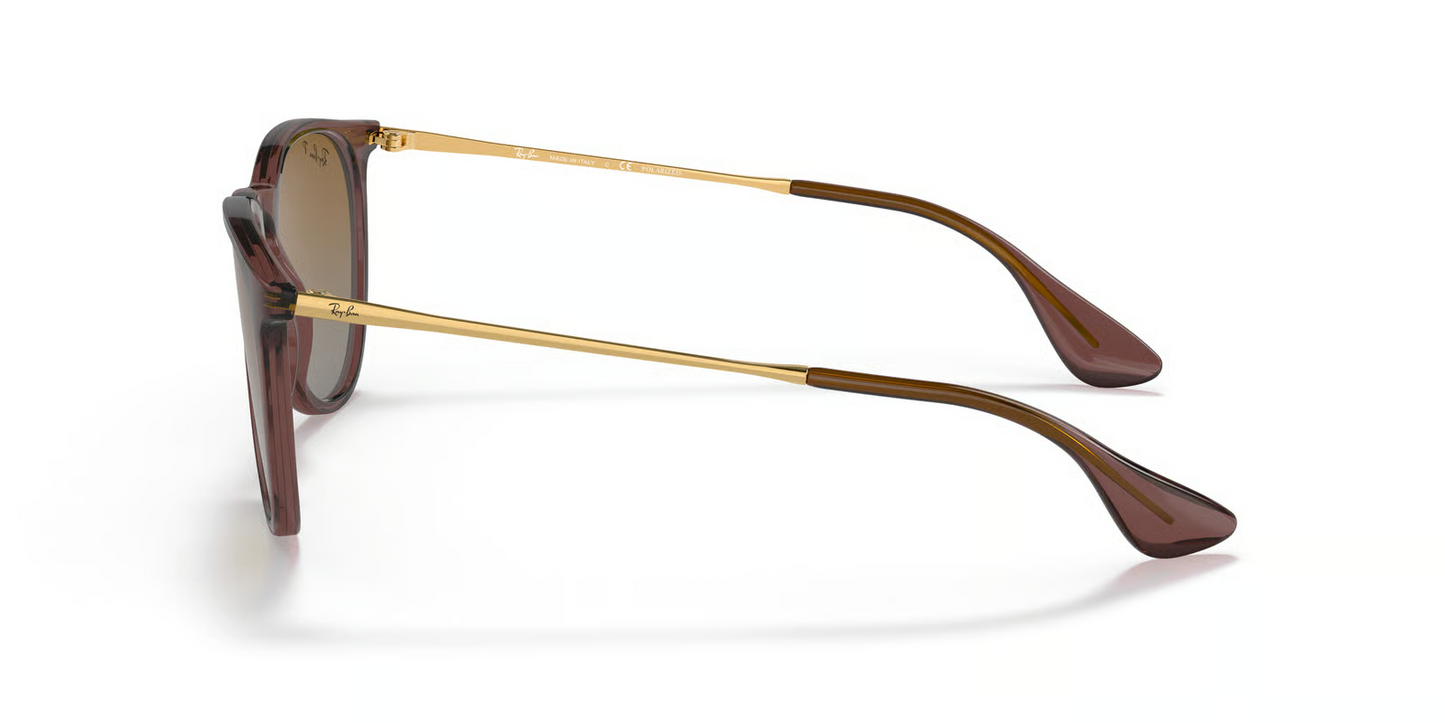 Ray-Ban RB4171 Erika Sunglasses