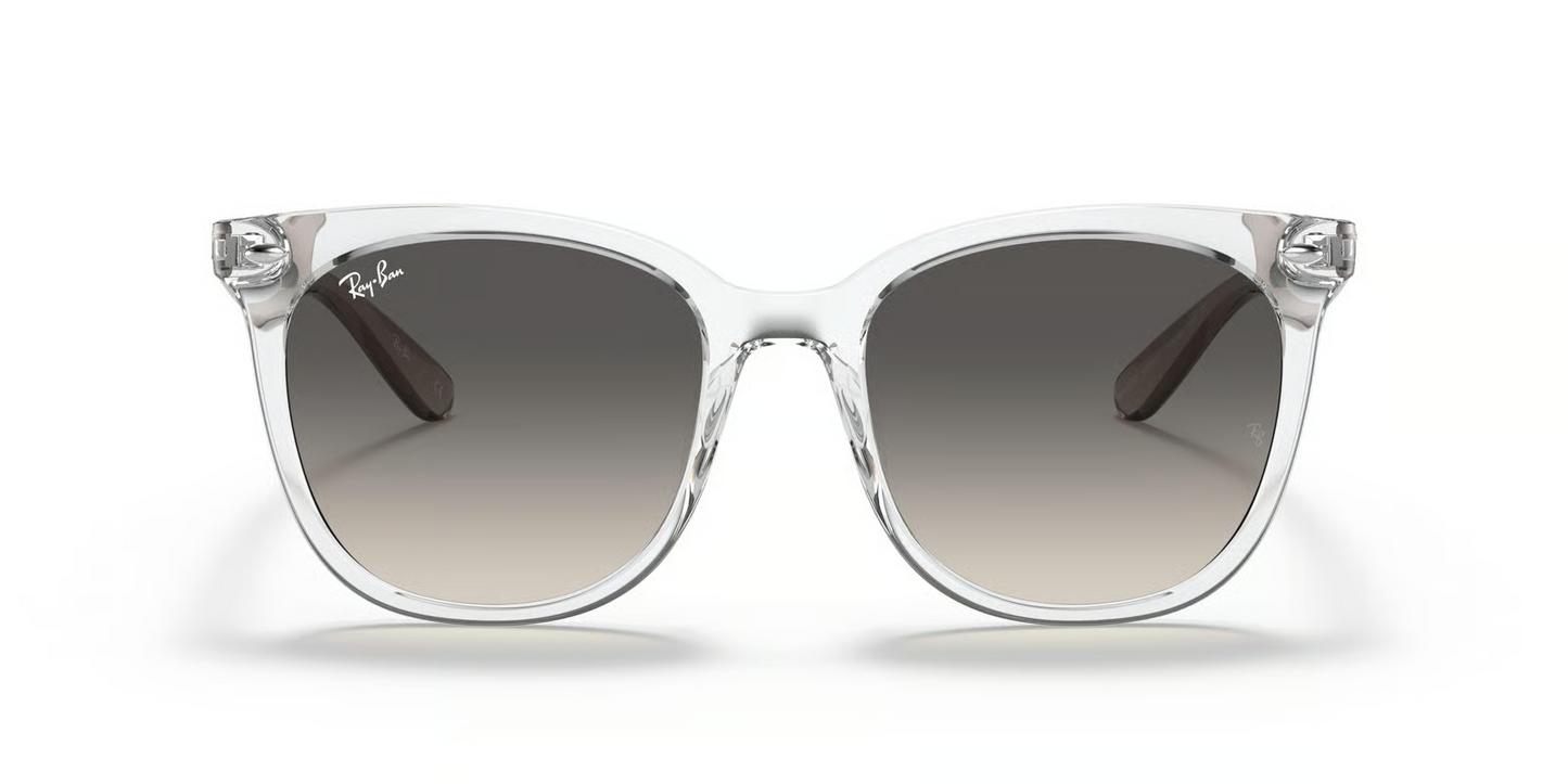 Ray-Ban RB4379D Sunglasses