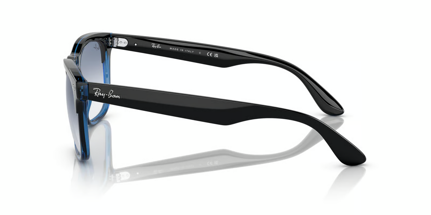 Ray-Ban RB4487 Steve Sunglasses