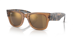 663693 - Transparent Brown with Gold Lenses