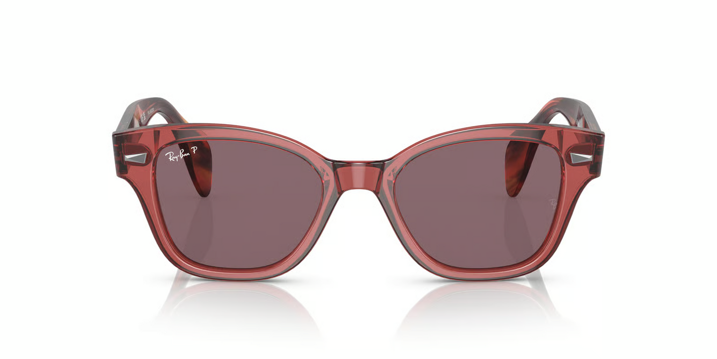 Ray-Ban RB0880S Sunglasses