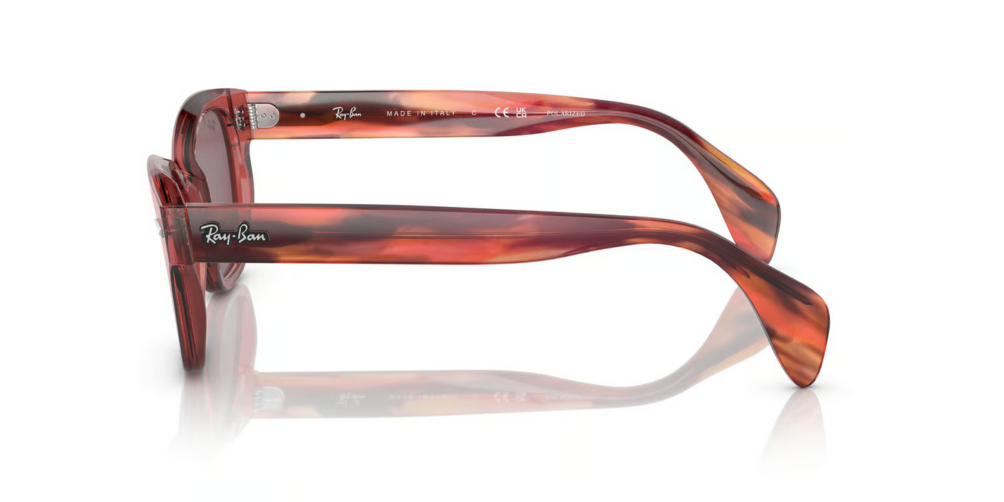 Ray-Ban RB0880S Sunglasses