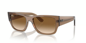 664051 - Transparent Light Brown with Clear & Brown Lenses