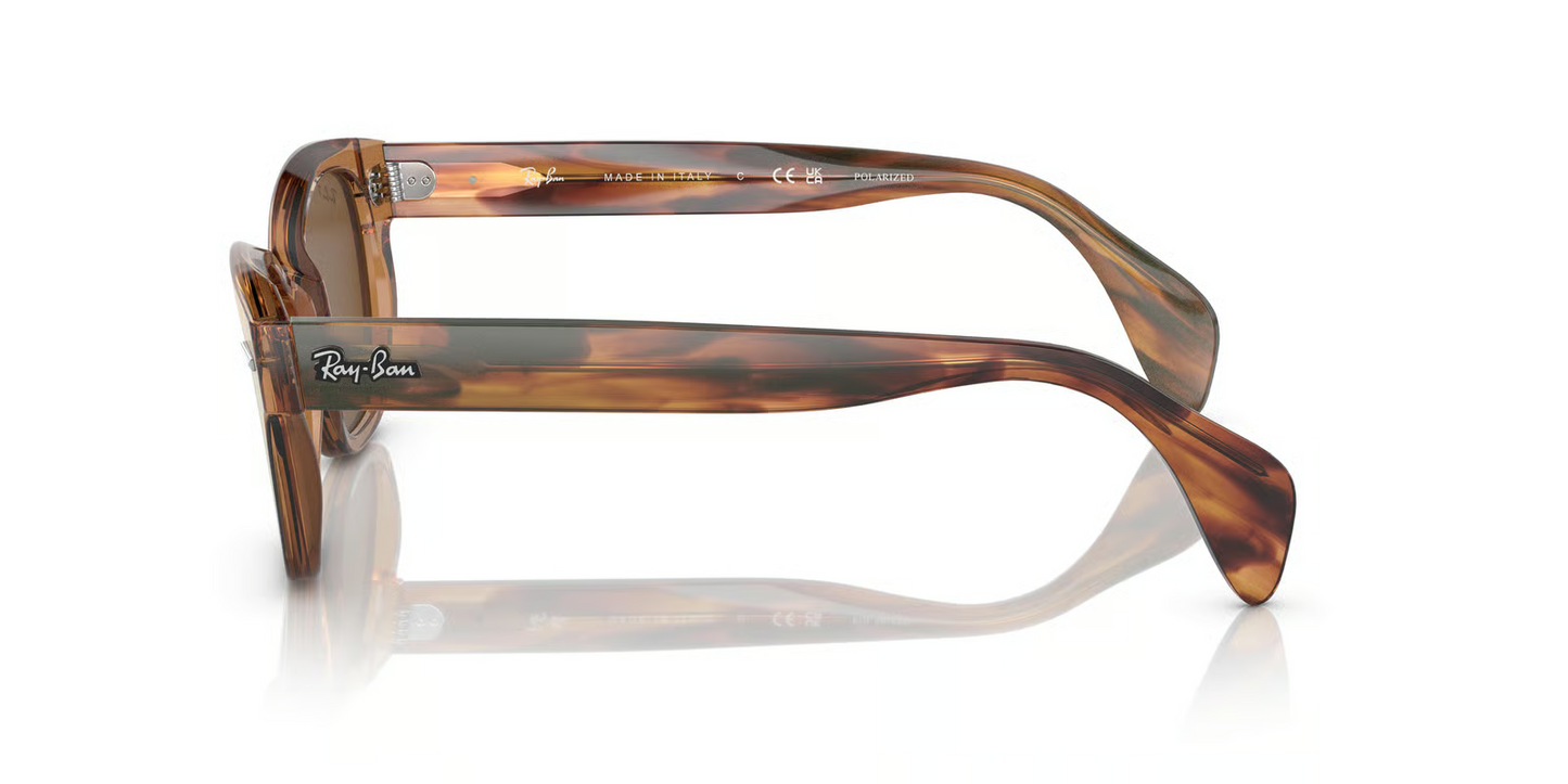 Ray-Ban RB0880S Sunglasses