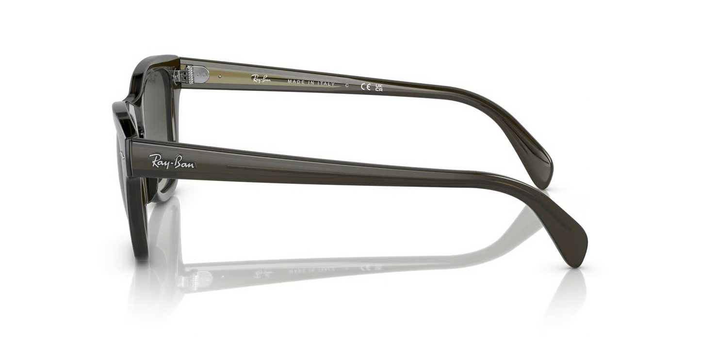 Ray-Ban RB0707S Sunglasses