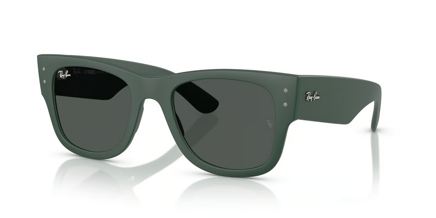 Ray-Ban RB4840S Sunglasses