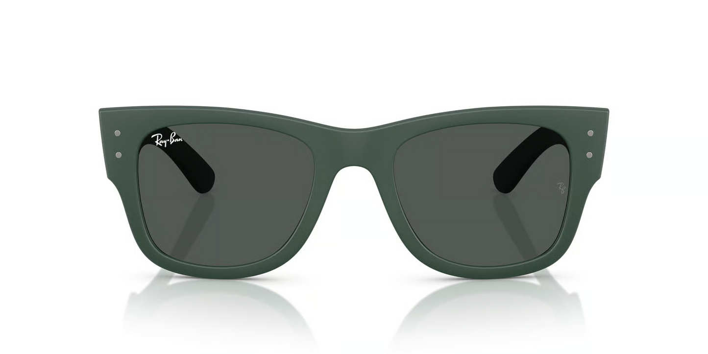 Ray-Ban RB4840S Sunglasses