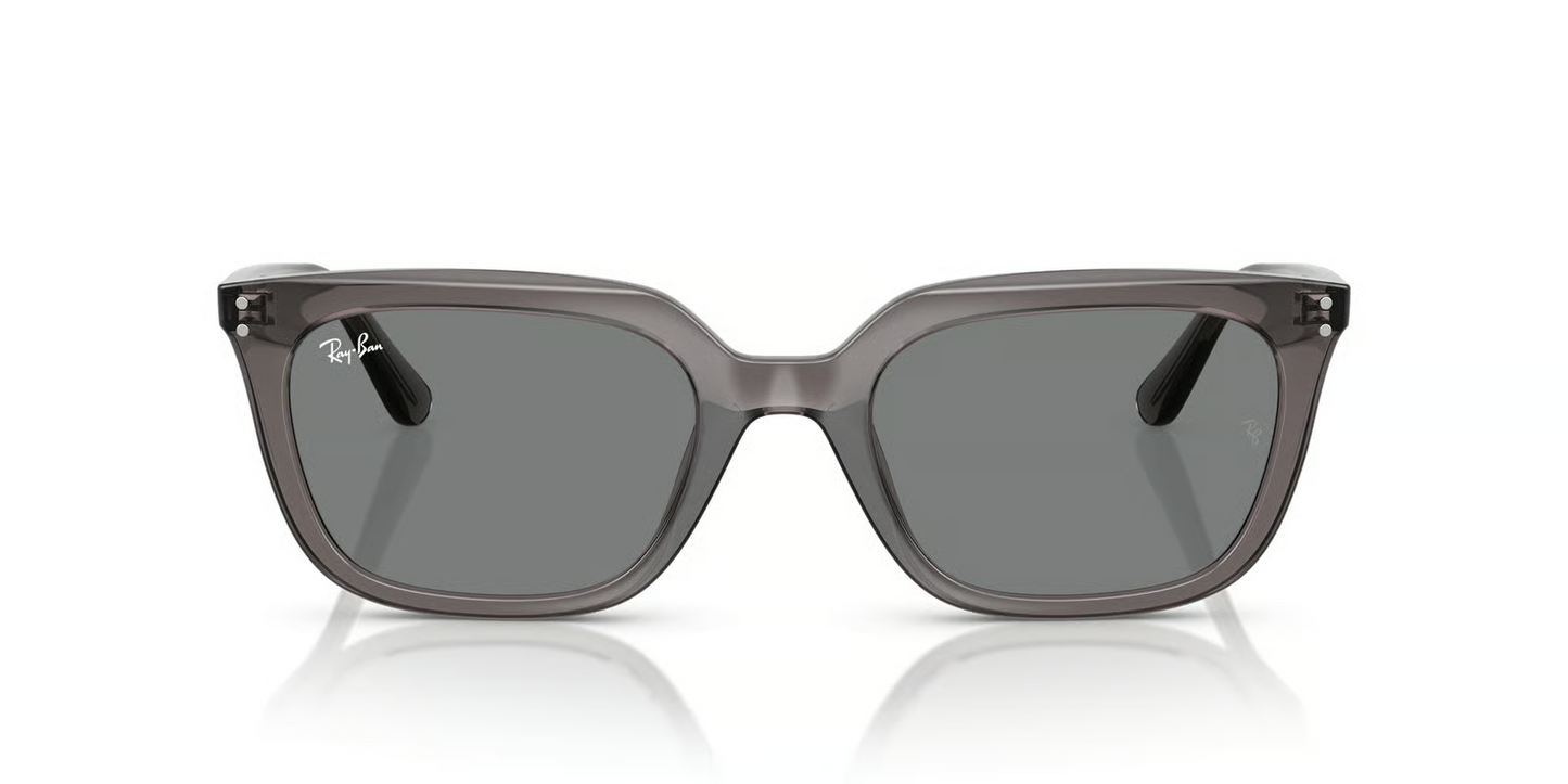 Ray-Ban RB4439D Sunglasses