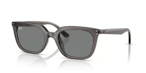 667587 - Transparent Grey with Dark Grey Lenses